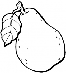 Pear coloring page | Free Printable Coloring Pages