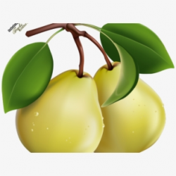 Two Pears Clip Art - 2 Pears Clipart , Transparent Cartoon ...
