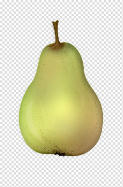 Pears , brown fruit transparent background PNG clipart ...