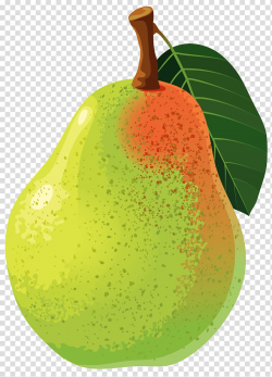 Avocado fruit illustration, Asian pear , Pear transparent ...