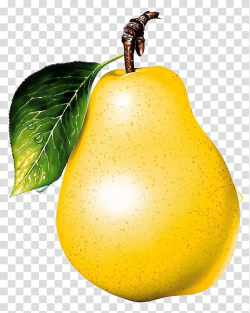Download for free 10 PNG Pear clipart transparent background ...