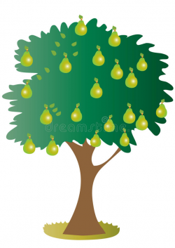 Pear tree clipart 5 » Clipart Station