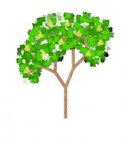 Free Clipart: Pear Tree | Briana83