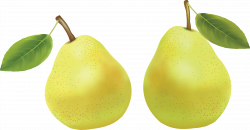 Pear clipart two, Pear two Transparent FREE for download on ...