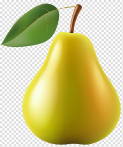 Download for free 10 PNG Pear clipart yellow top images at ...