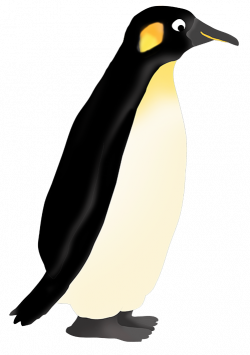 Funny Penguin Clip Art
