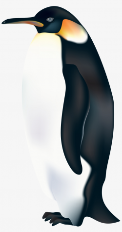 Penguin Png Clip Art - Emperor Penguin Clipart - Free ...