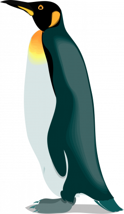 Penguins clipart realistic, Penguins realistic Transparent ...