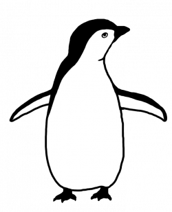 Penguin Clipart Black And White | Free download best Penguin ...