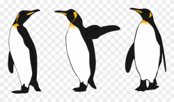 Penguin clipart realistic, Penguin realistic Transparent ...