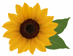 Sunflower profile clipart - Clipground | Tattoo/Piercing | Clip art ...