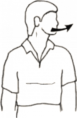 Turning head free stock - RR collections