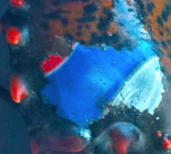 Lobster caught off New Brunswick has Pepsi logo on claw ...