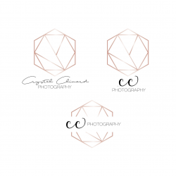 Hexagon Rose Gold Logo - Initials Logo - Simple Logo - Small Business logo  - Personal Logo - Shop Logo - Photographer Logo - Logo Design