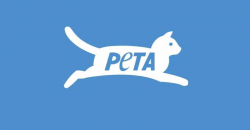 PETA asks parties to not use animals in campaigns ...
