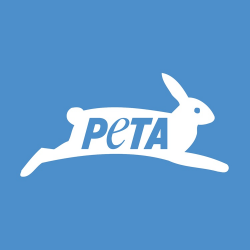 PETA wants Sioux Falls sports show to drop bear act | News | Y94