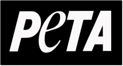 PETA Sheds Light on Animal-friendly Activities