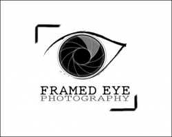 40+ Inspirational Eye Logos | Tripwire Magazine