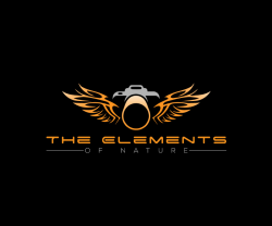 Bold, Traditional, Professional Photography Logo Design for ...