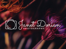 Simple photography logo by Tanita on Dribbble