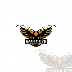 Stylish new school type EagleEYE Drone photography logo ...