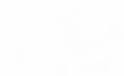 Fog PNG Transparent Images | PNG All