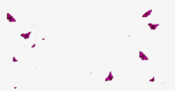 Free Butterfly Photo Overlays, Flying Butterfly, Photoshop ...