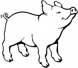 Download for free 10 PNG Pig clip art wilbur top images at ...