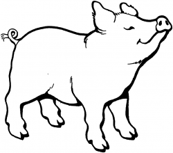 Pig clipart black and white Best of Pig clipart black and white ...