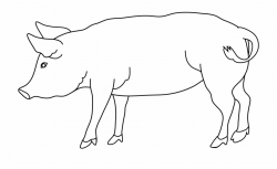 Pig Outline Png Transparent Background - Pigs Drawing Black And ...