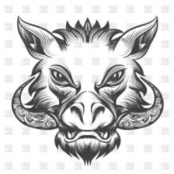 Photostock Vector Evil Hog Vector Illustration Clip Art Image Eps ...