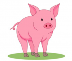 Free Pig Clipart - Clip Art Pictures - Graphics - Illustrations