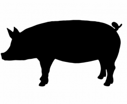 Show Pig Silhouette - ClipArt Best | Stenciling | Pig images ...