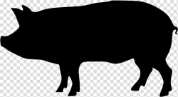 Black and white pig sketch, Domestic pig Silhouette , pig ...