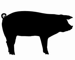 show pig silhouette clip art | Farm Animals/ Stencil-Vinyl ...