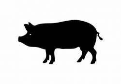Free Pig Silhouette Images, Download Free Clip Art, Free Clip Art on ...