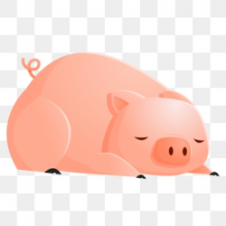 Sleeping Pig Png, Vector, PSD, and Clipart With Transparent ...