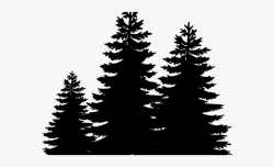 Fir Tree Clipart 4 Tree - Pine Tree Clipart Png #1916940 ...