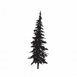 Pine tree silhouette, hand drawn doodle sketch, black and ...