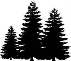pine tree, tree silhouette clipart | Pine tree silhouette ...