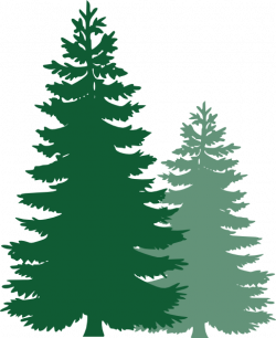 Free Pine Trees Cliparts, Download Free Clip Art, Free Clip ...