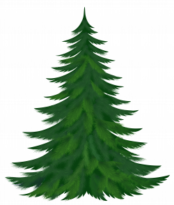 Best Pine Tree Clipart #24518 - Clipartion.com