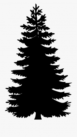 Tree - - Pine Tree Png Vector #61684 - Free Cliparts on ...