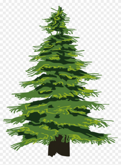 1500 X 1501 13 - Transparent Pine Tree Clipart, HD Png ...