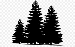 Christmas Black And White clipart - Pine, Tree, Silhouette ...