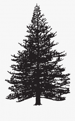 Pine Tree Silhouette Clip Art Image - Pine Tree Clip Art ...