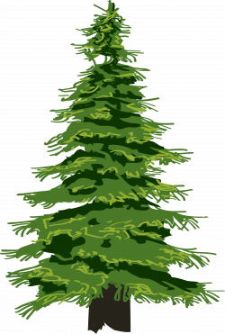 Pine Tree Evergreen Clip art - christmas tree png download ...