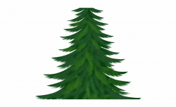 Pine Clipart Snow Tree - Christmas Pine Tree Clipart ...