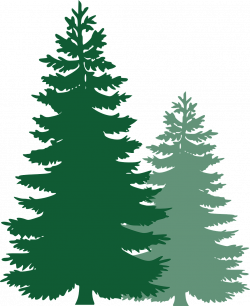 Free Image on Pixabay - Pine Trees, Spruce Trees | Tree ...