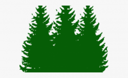Fir Tree Clipart Pine Tree - Green Pine Tree Png #799241 ...